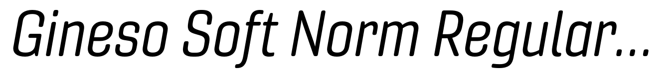 Gineso Soft Norm Regular Italic